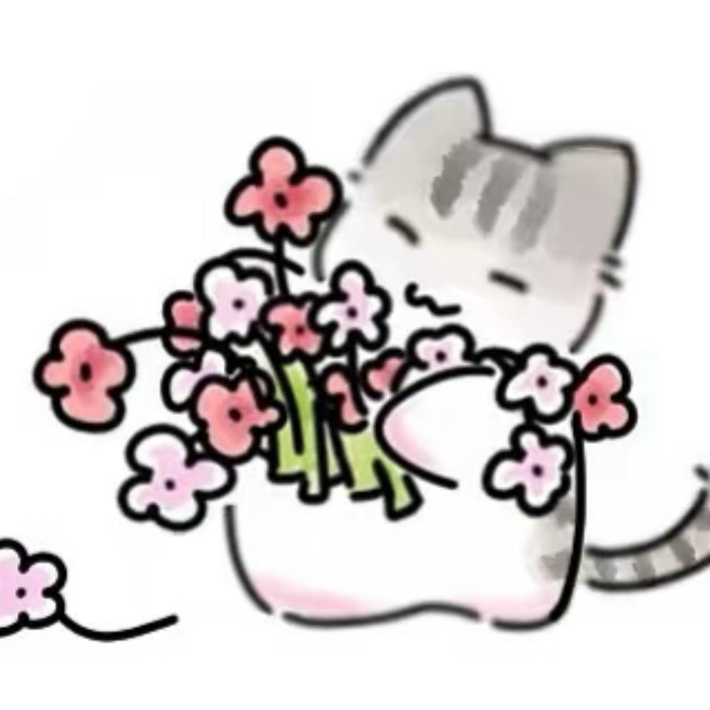 一只小狸花🐦‍⬛
