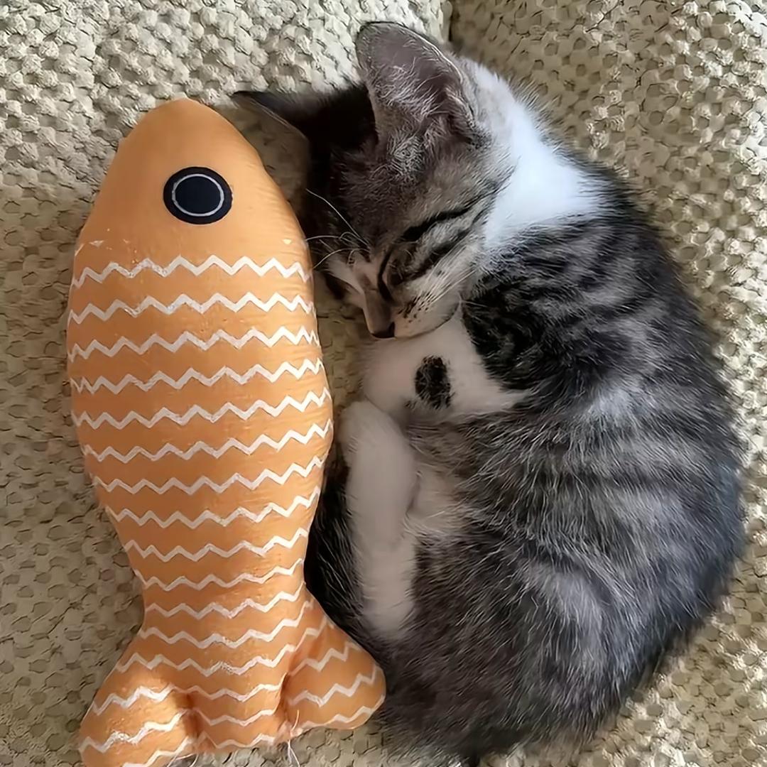 下辈子做只猫