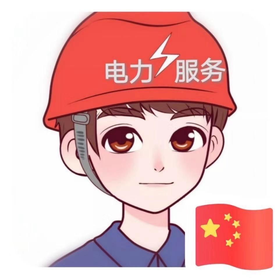 电力⚡️李少