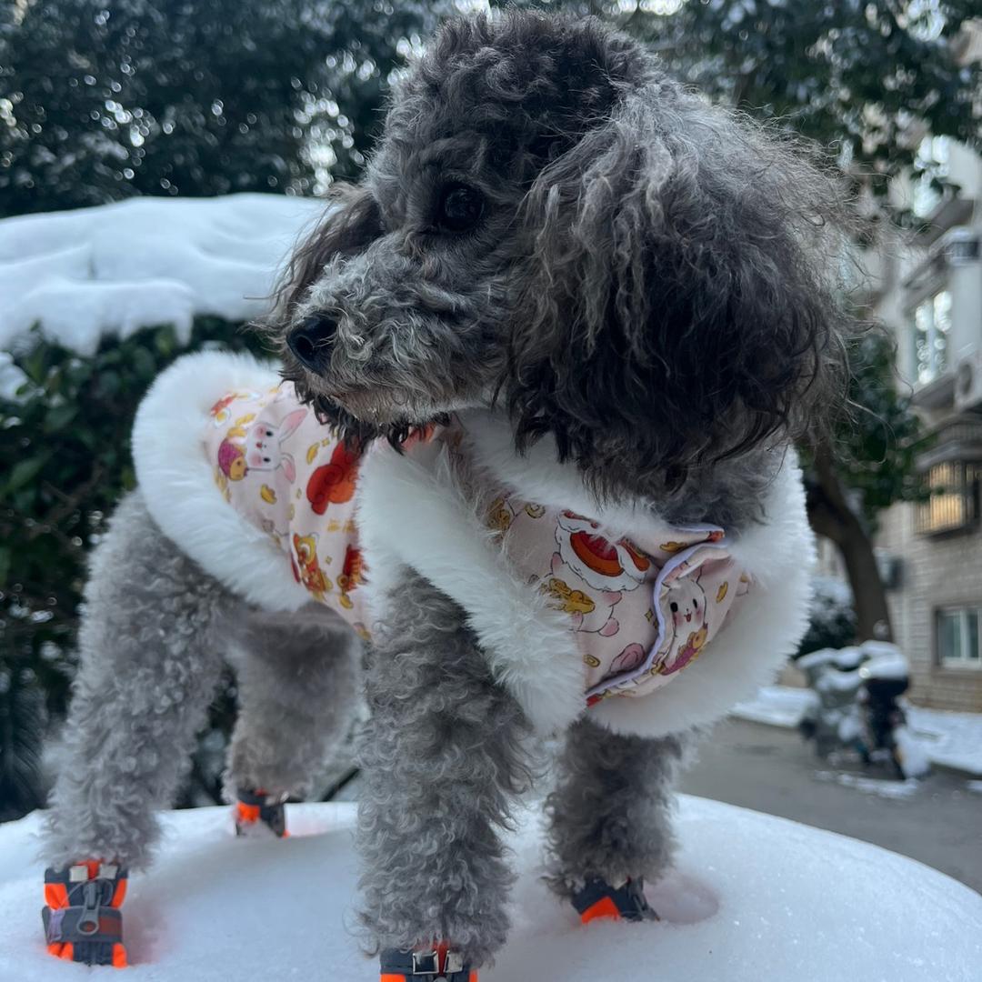 通达木箱包装板全国发售