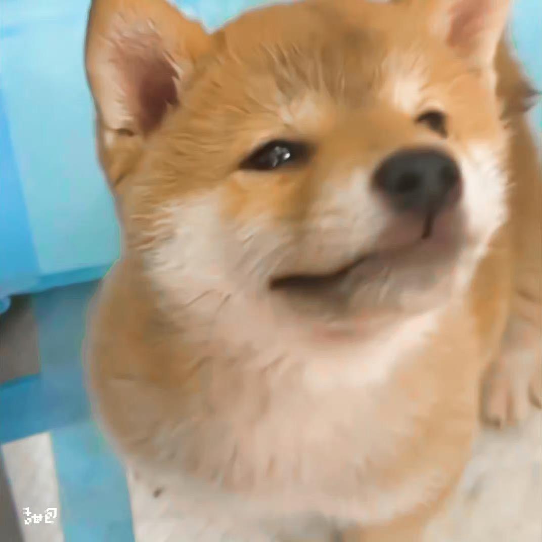 圆子游园会
