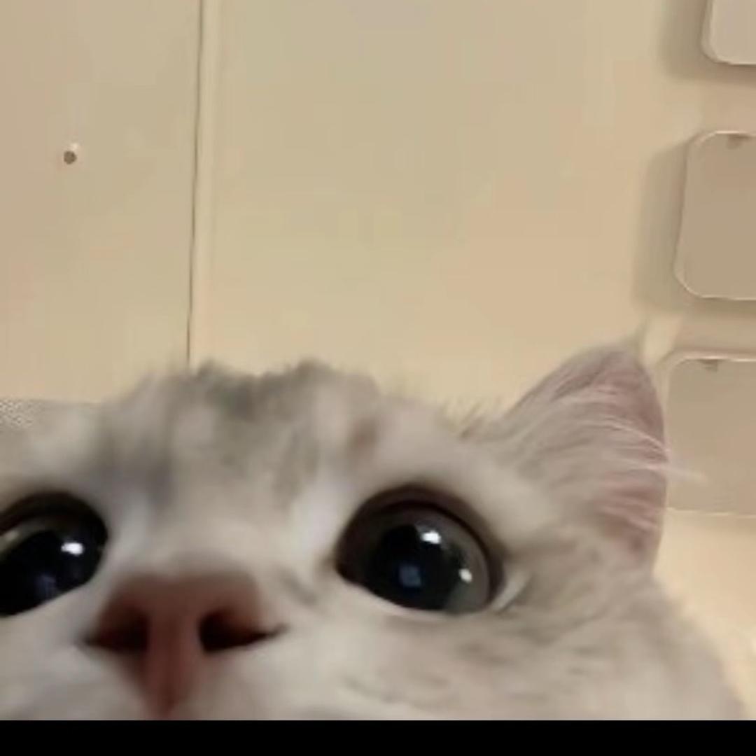 歪鼻八卜