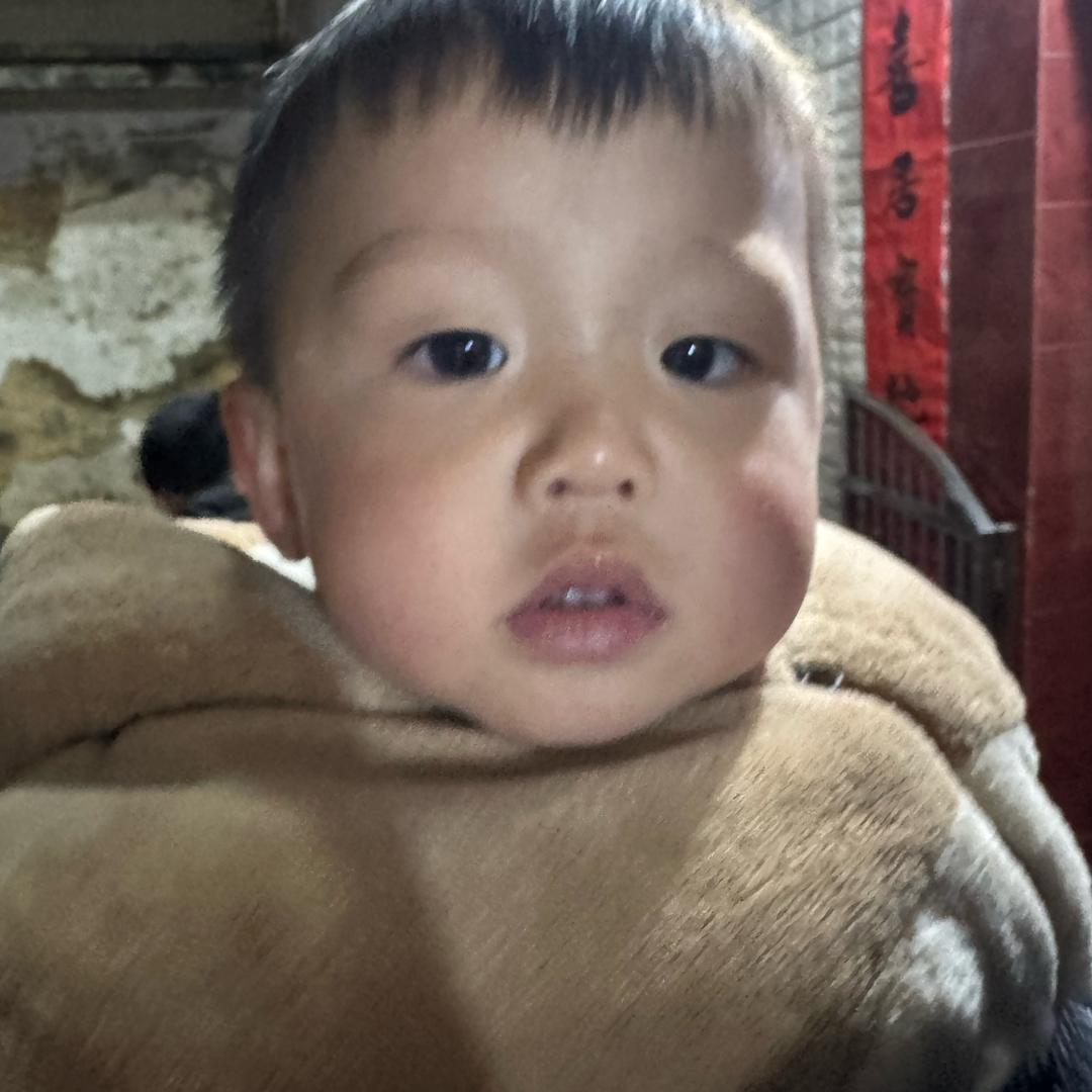 洛阳尘（暗区突围无限）