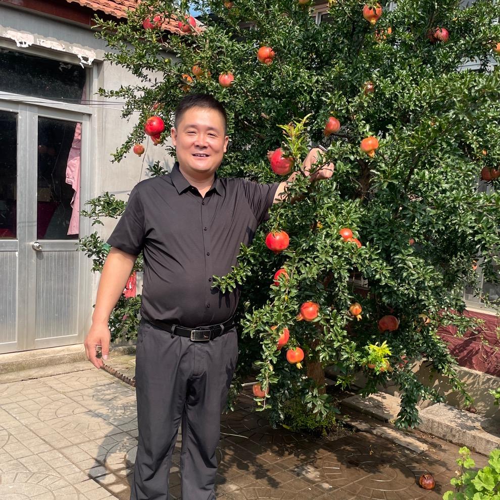 昌乐印钞鸡