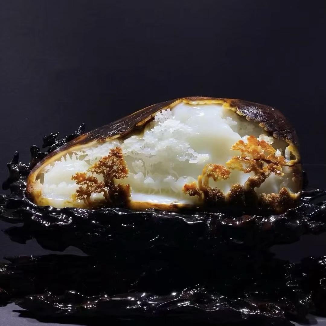 新疆飞黄大师馆