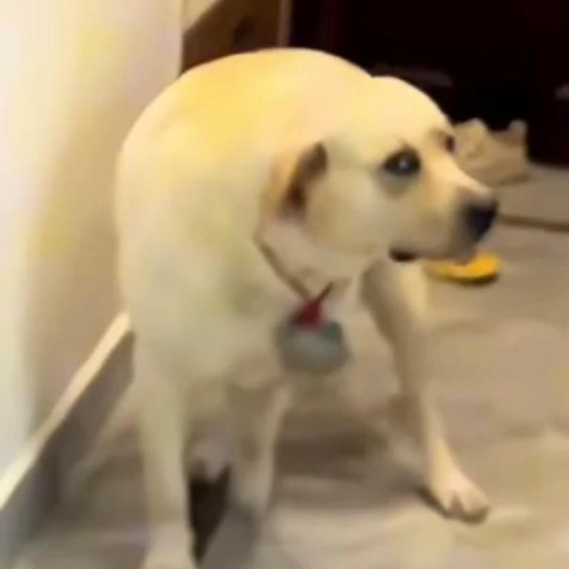 源来如此