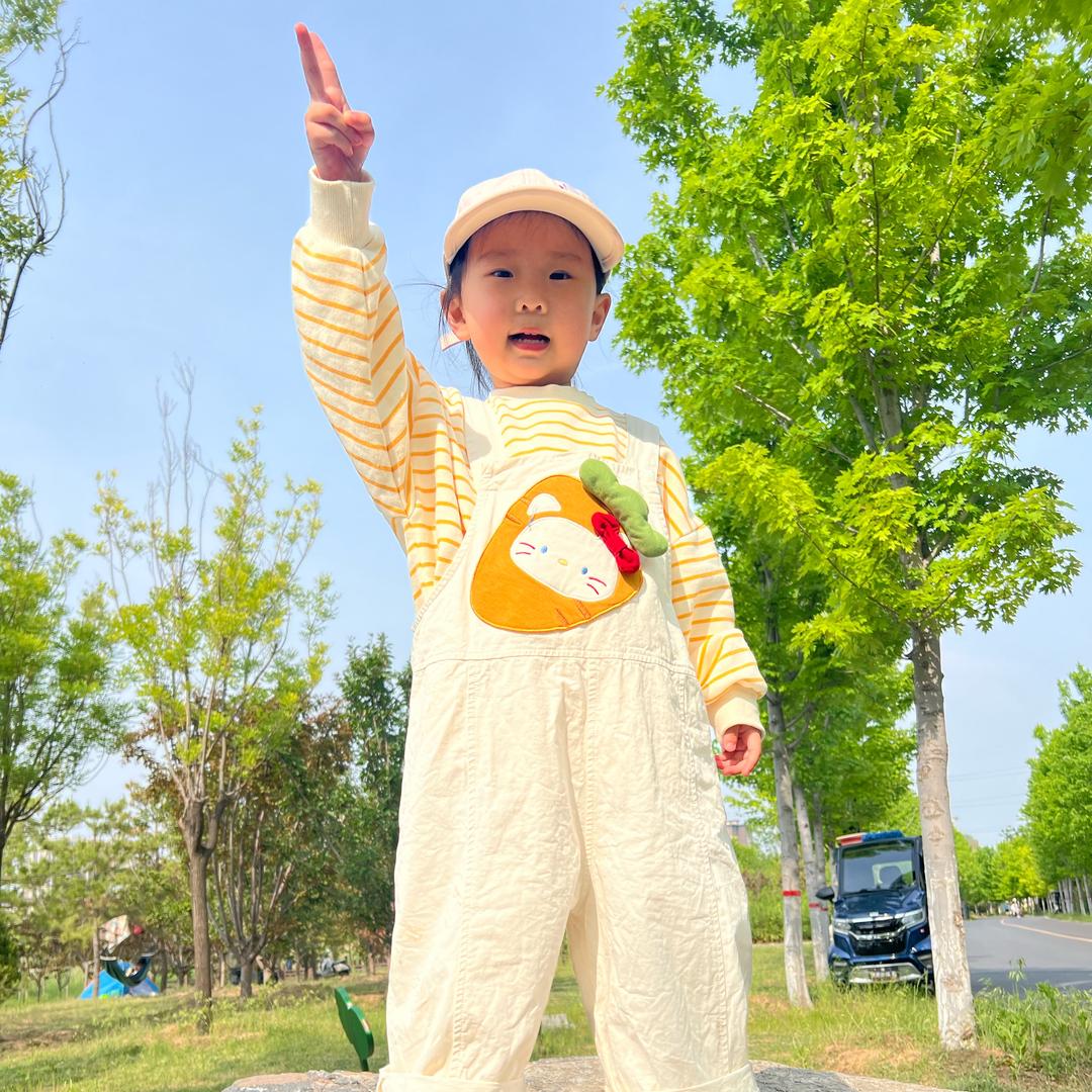 孜然肉肉～（摆摊进阶版）