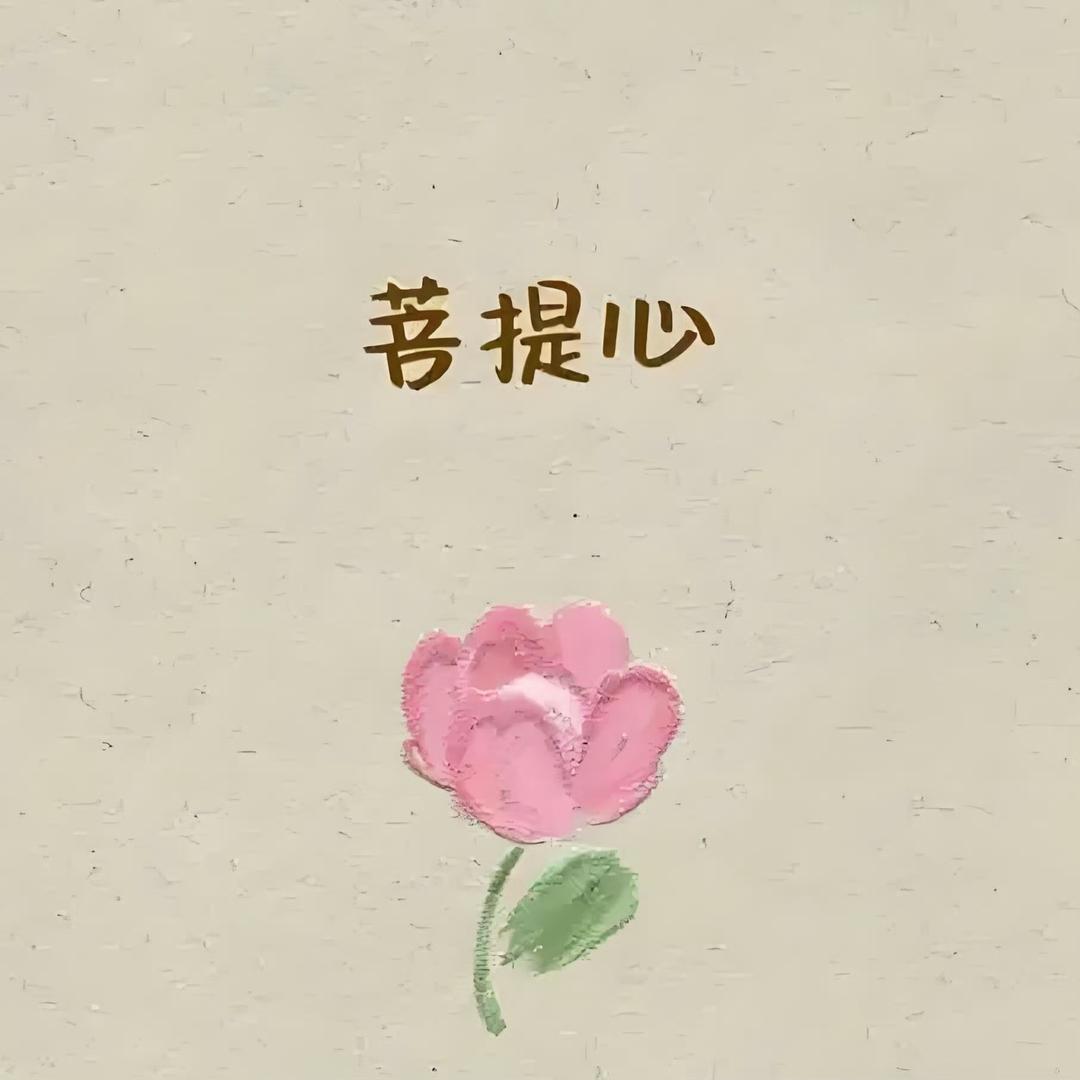爱吃馒头的发发
