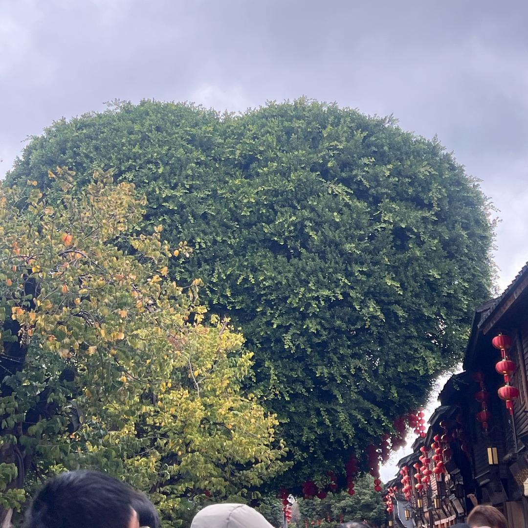 允夏