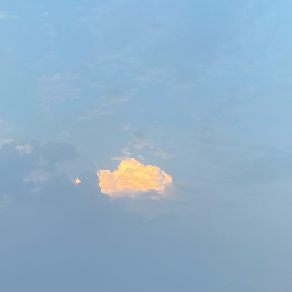 你长的真好看