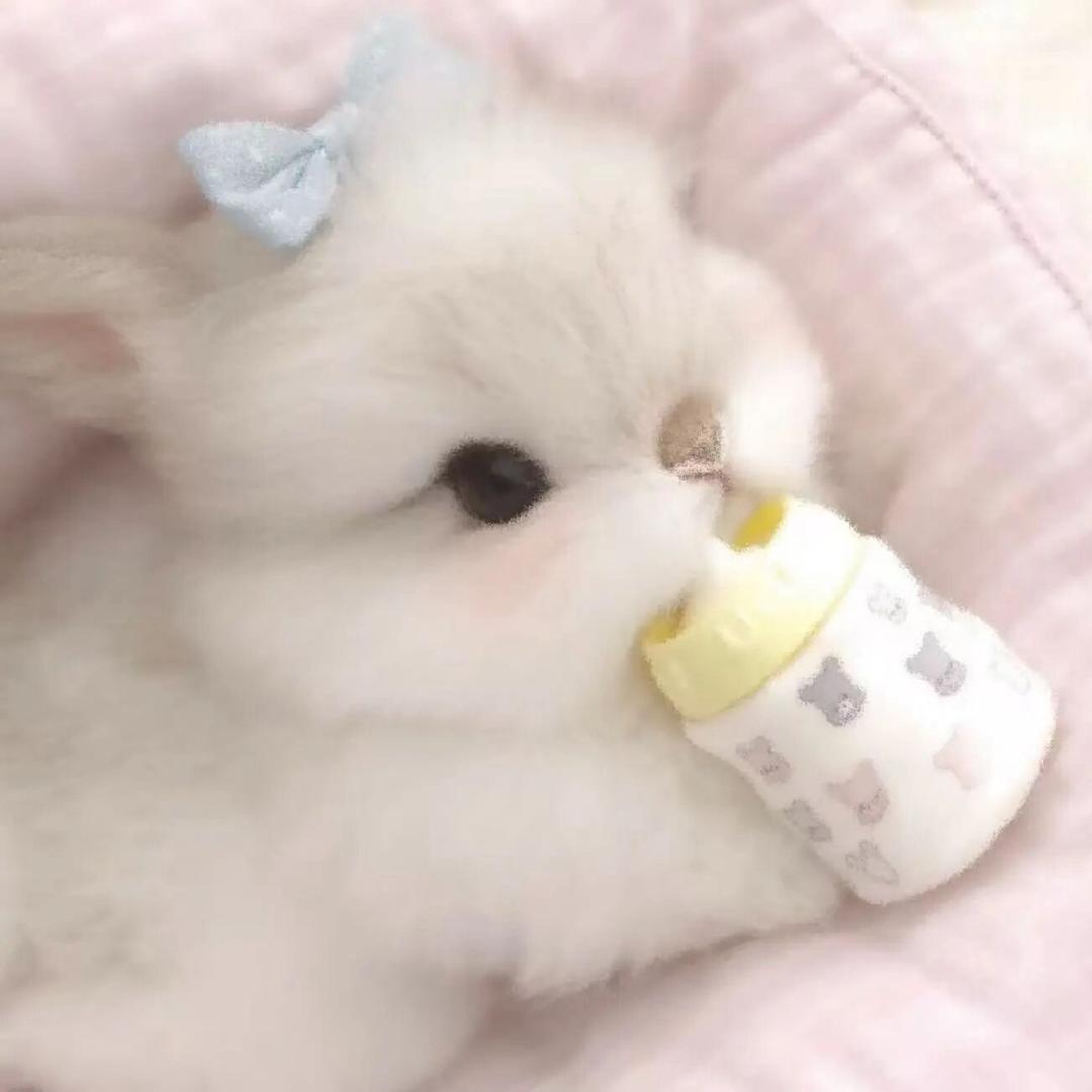 水.