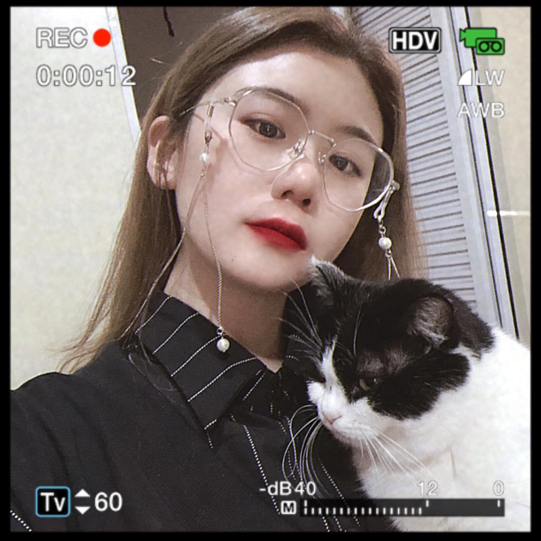 虎子是只猫🐱