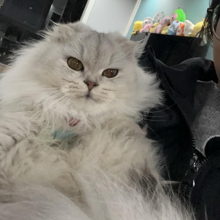 喜欢便偏爱