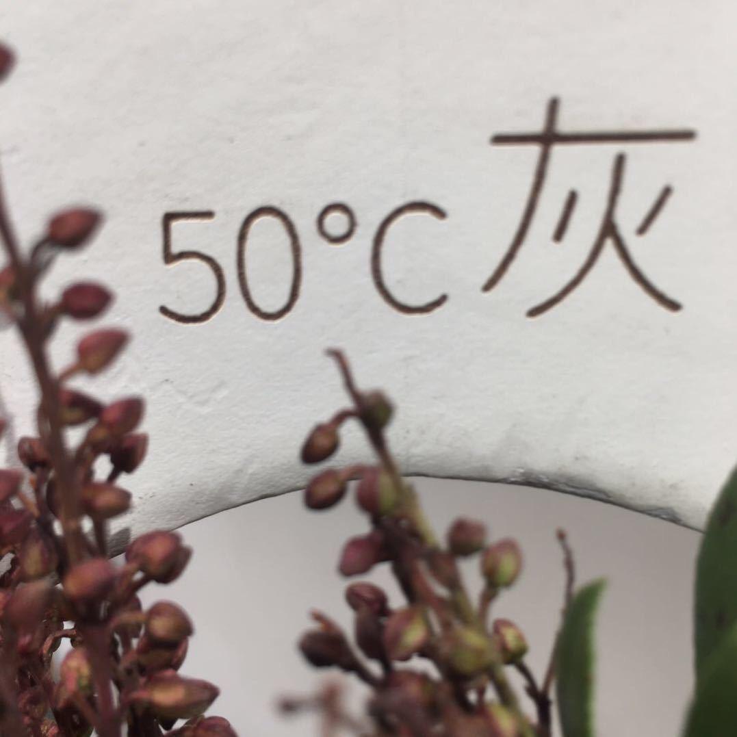 50度灰的黑咖啡