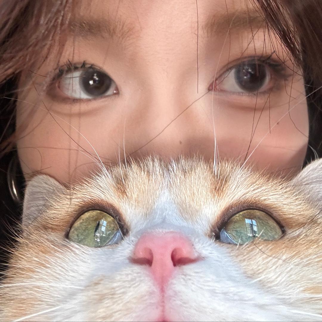 小葵_