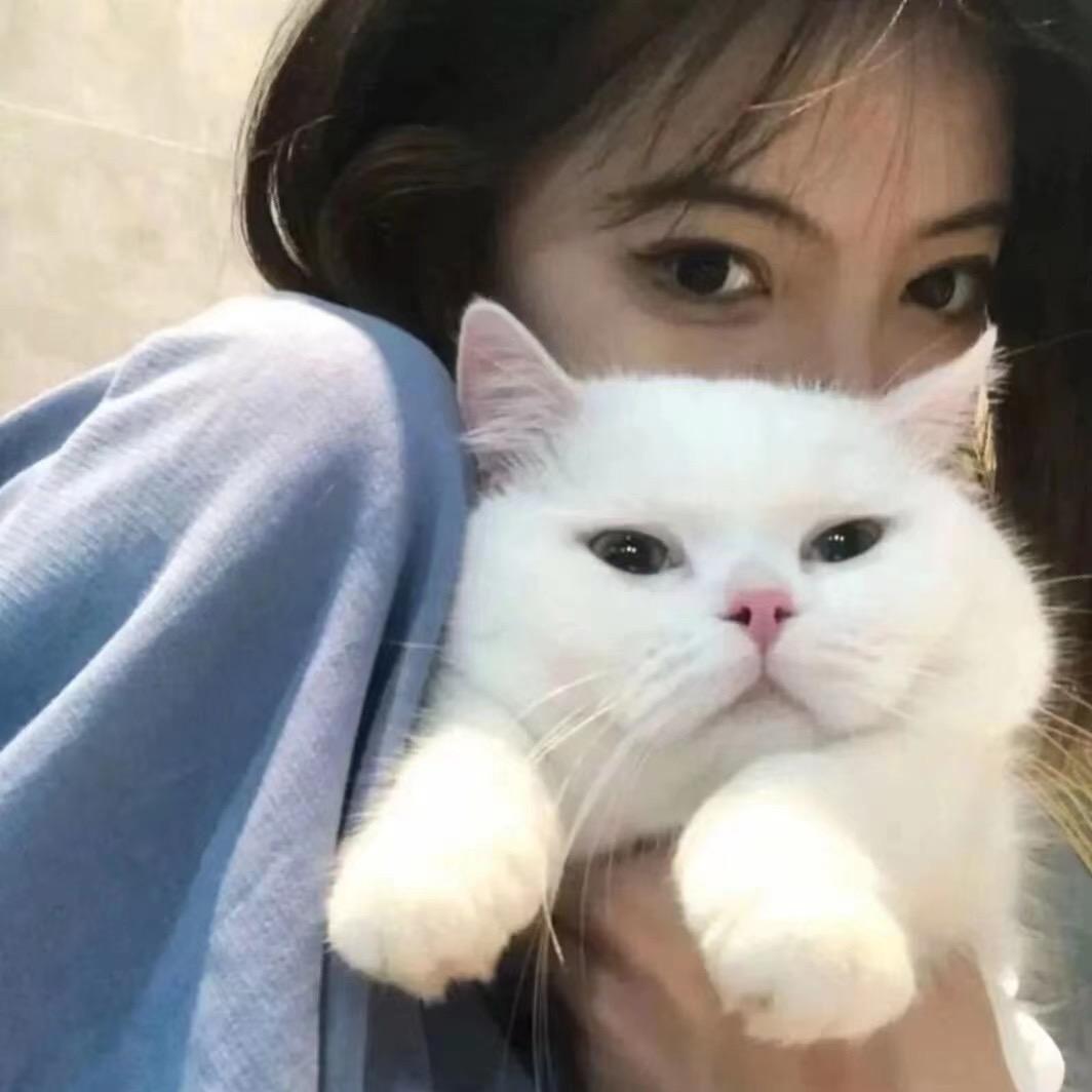 洪彤不吃芹菜