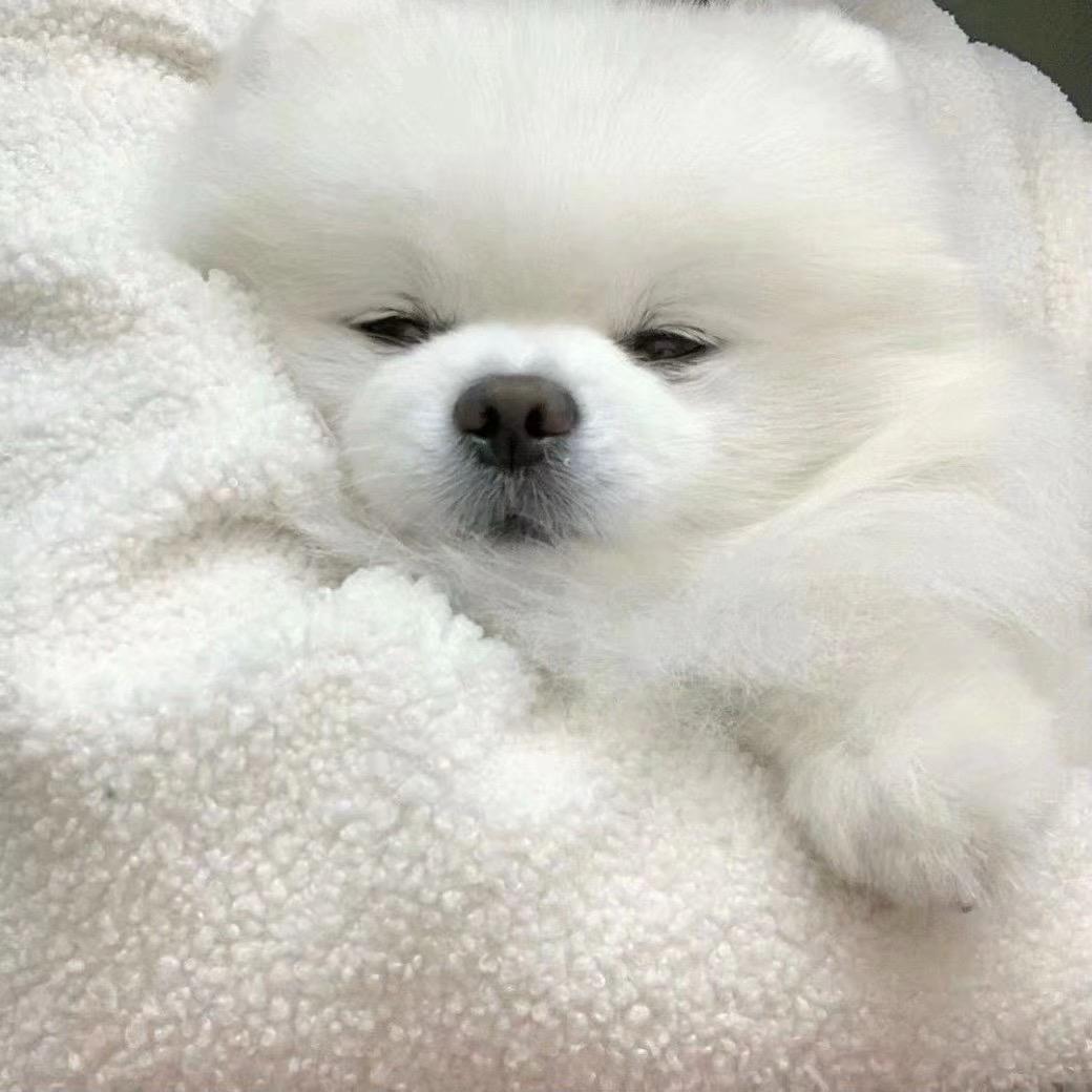 zzz？