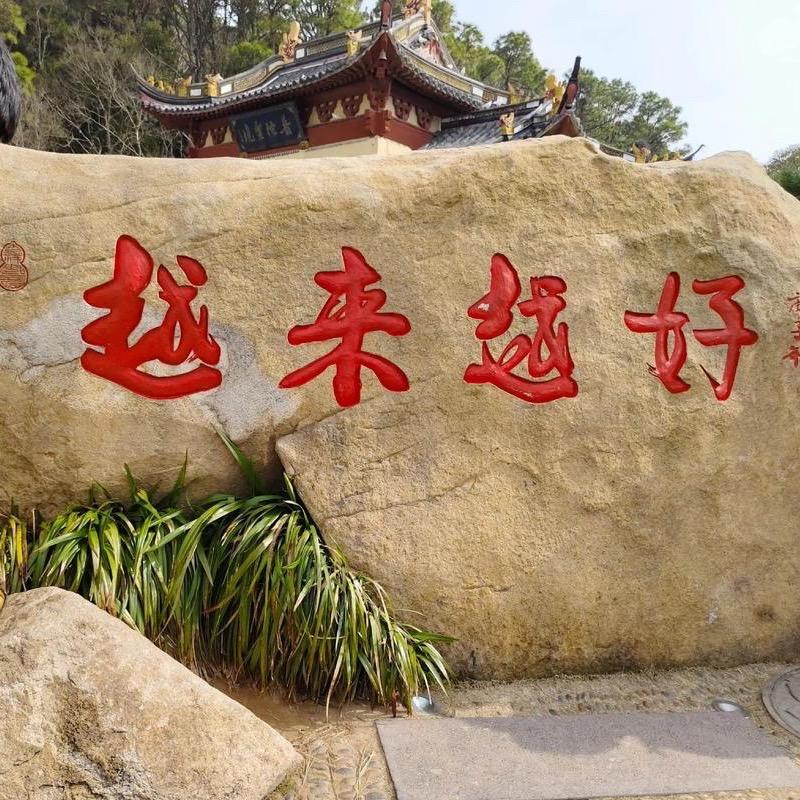 大鹏的生活故事