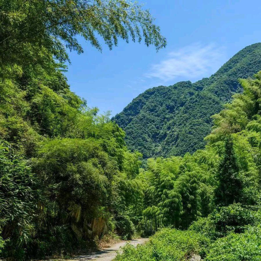 传奇