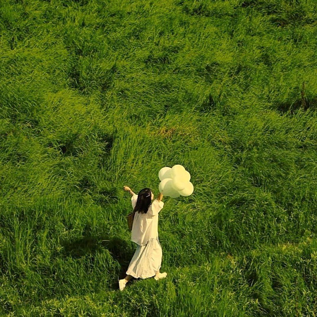 Freedom+