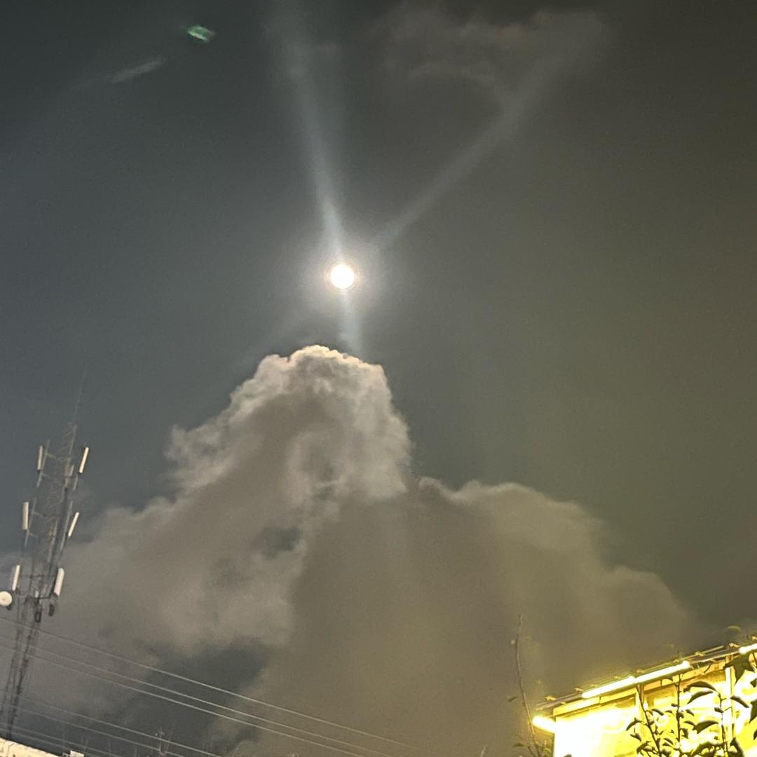 爱冒险的梦