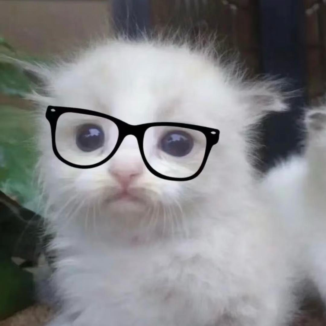 有力的妻子