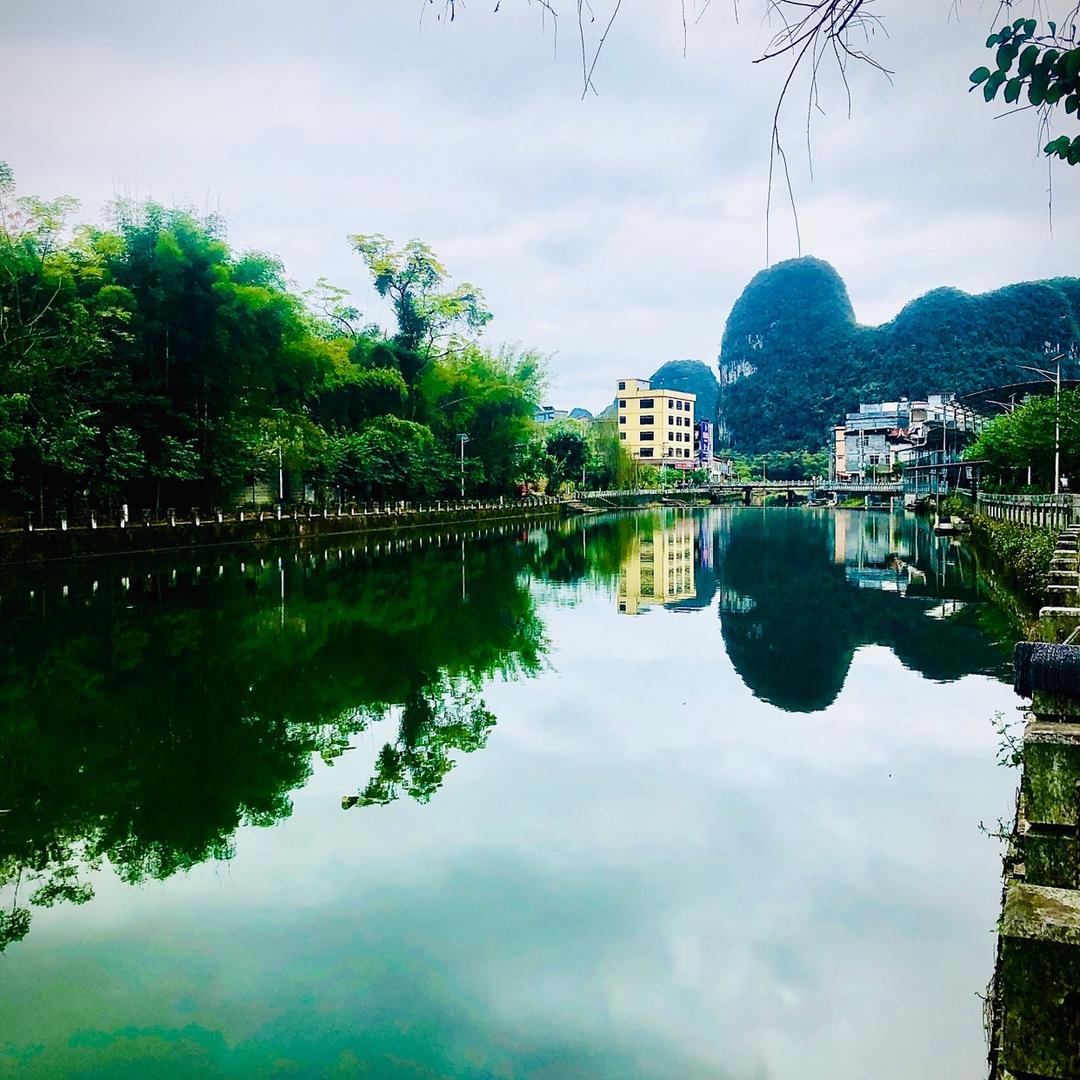 搁浅的鱼1126