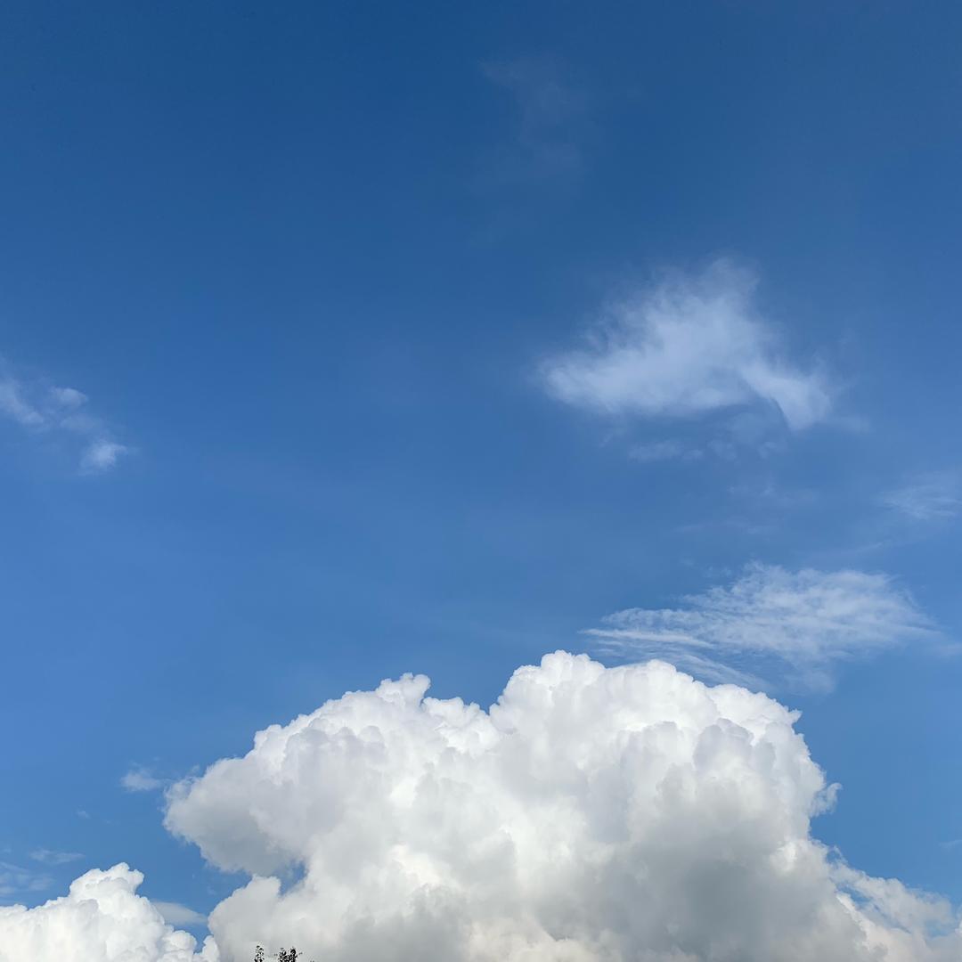 雨后便会天晴🌈