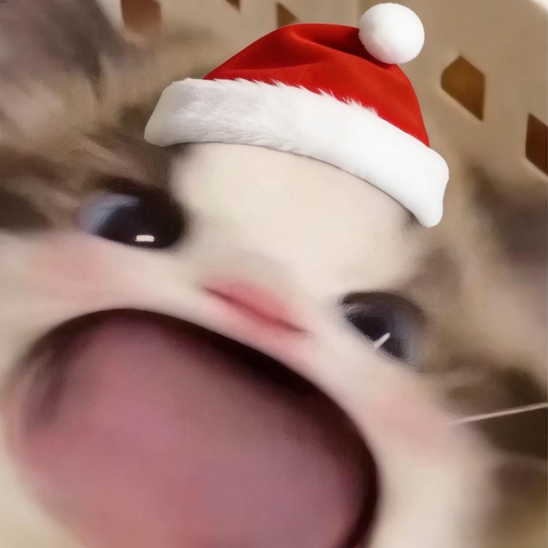 小童桐