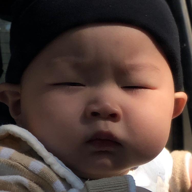 年命如朝露