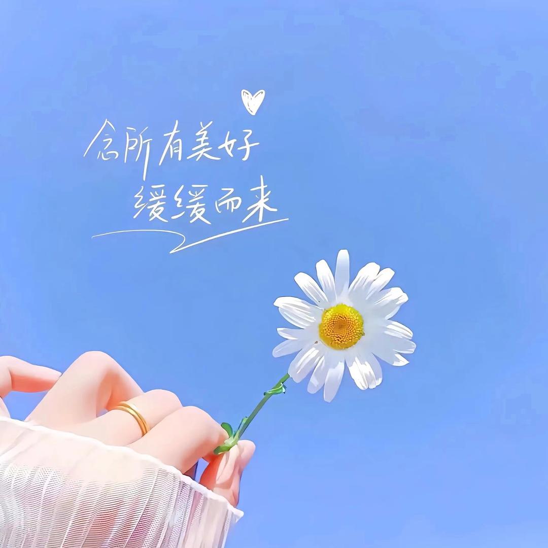 董总！