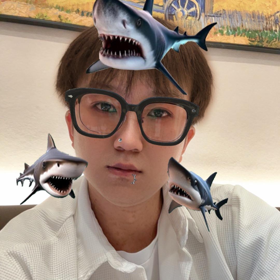 浪浪久伴
