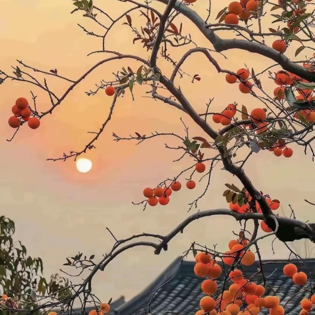 明亨