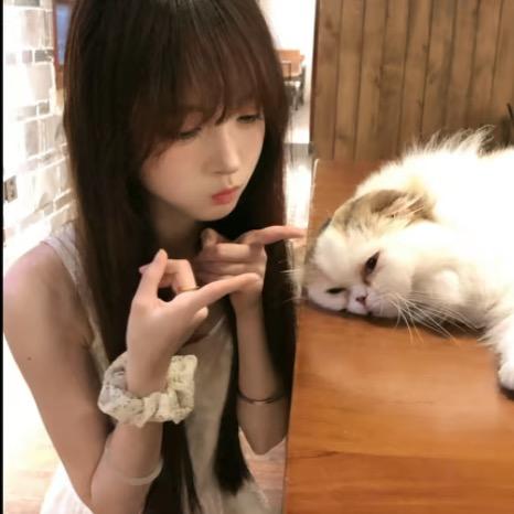 薯条自由