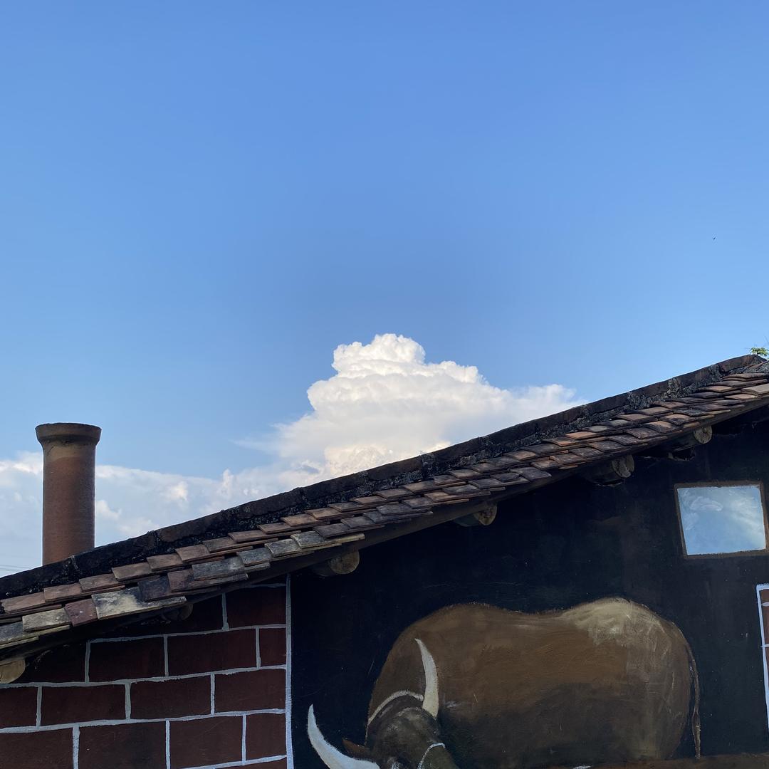 迩海系洗护工厂店