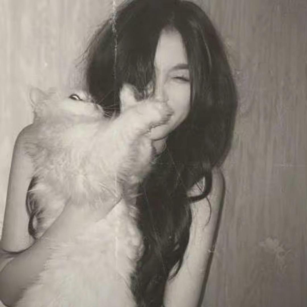 Y.my