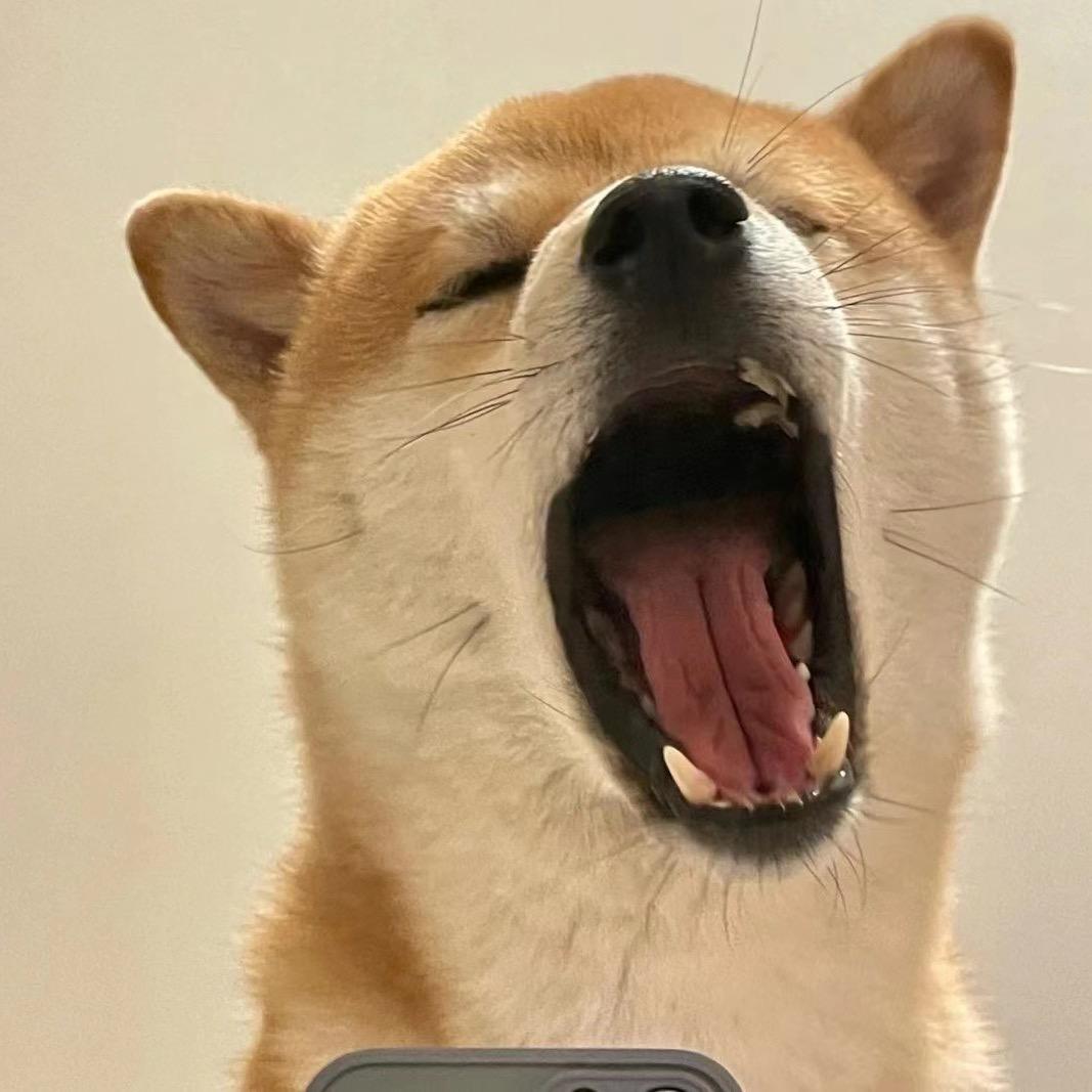 九九