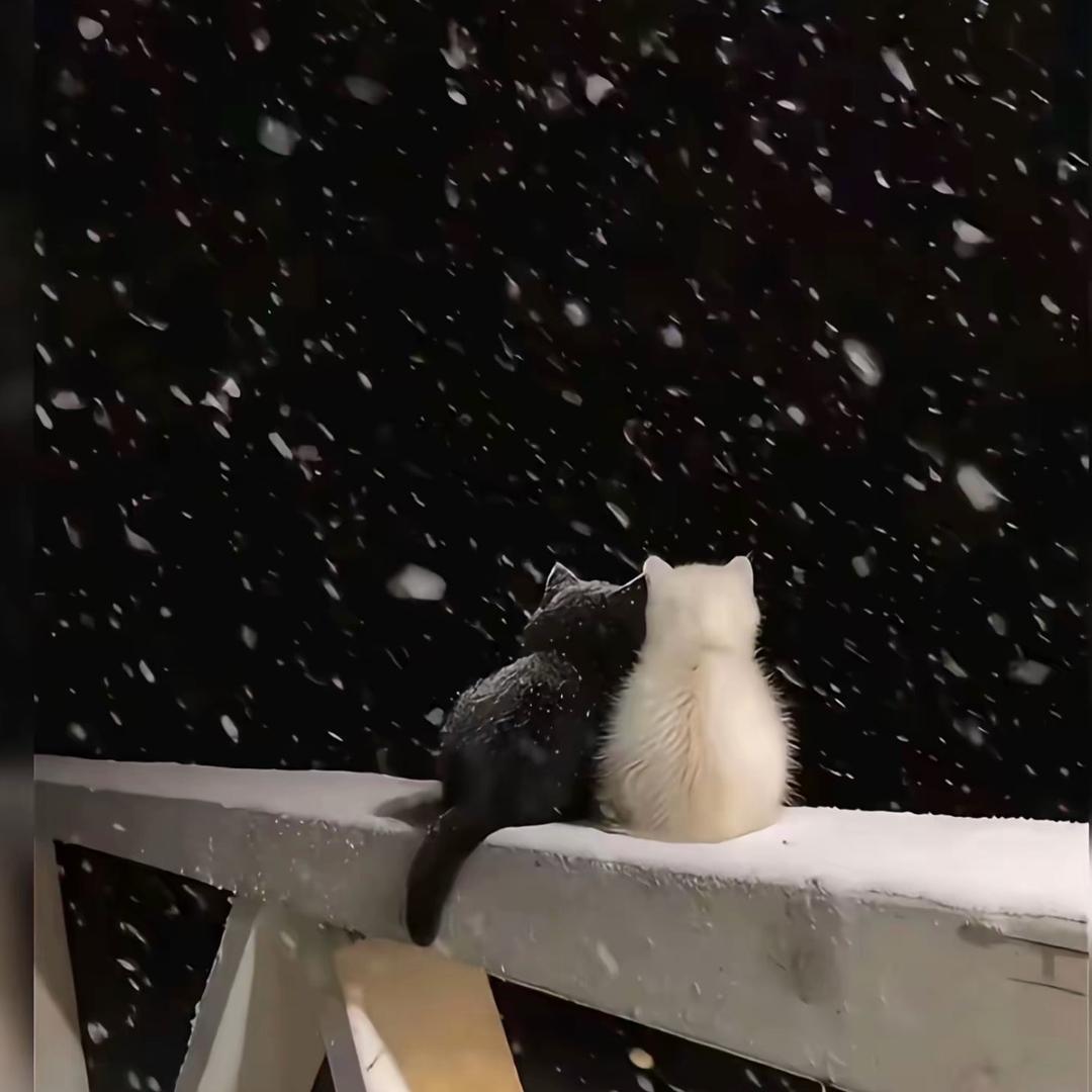 生活