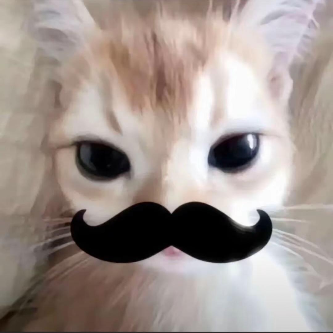 1234