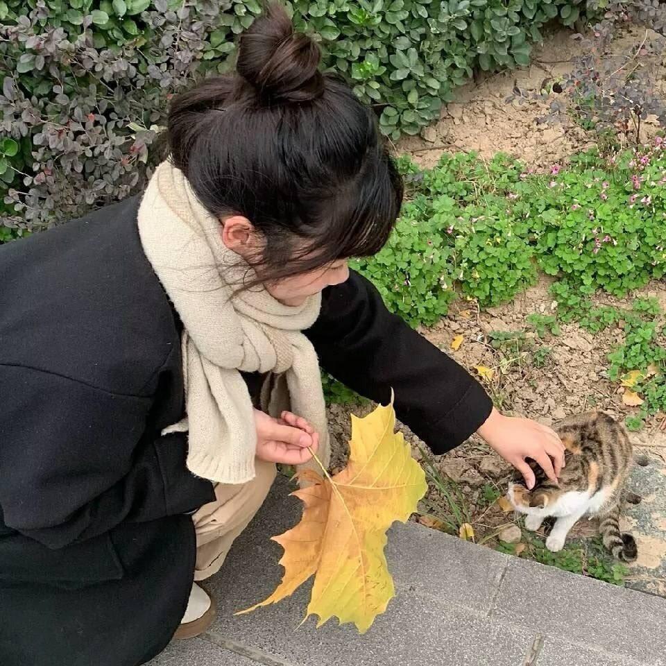 朵朵