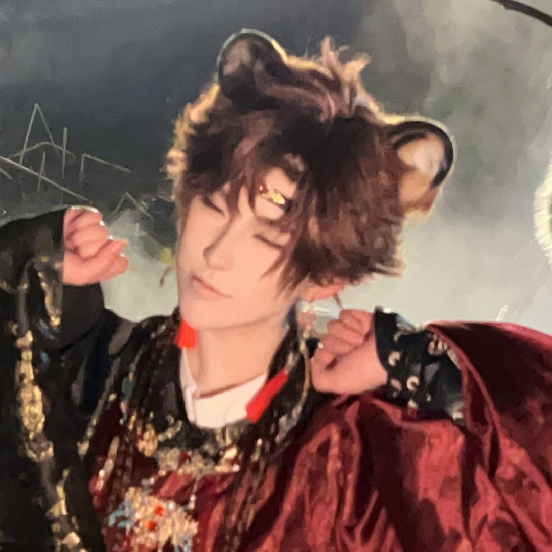 小狮子岩🦁（治疗社恐版）