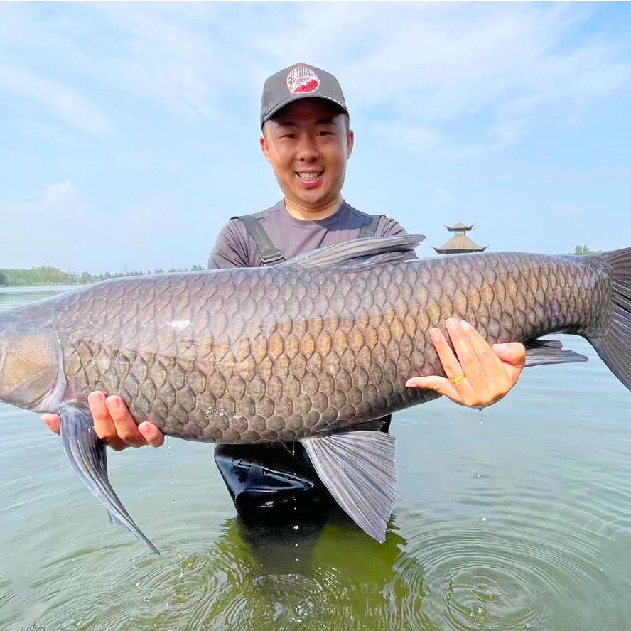 悟空爱钓鱼🎣