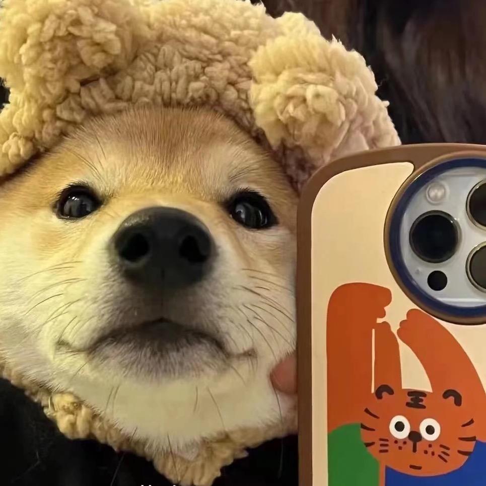 棠棠👀