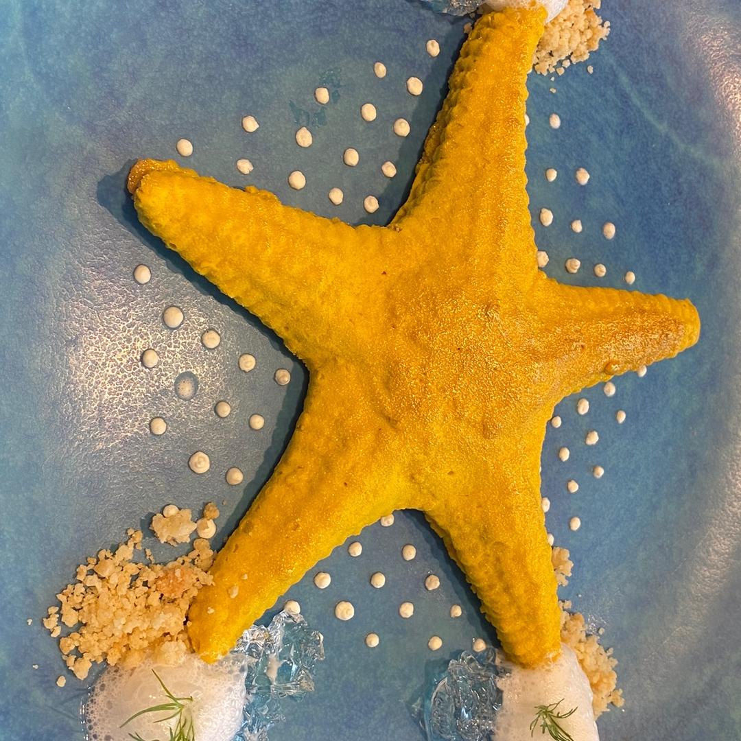 🌈月光小石🦊