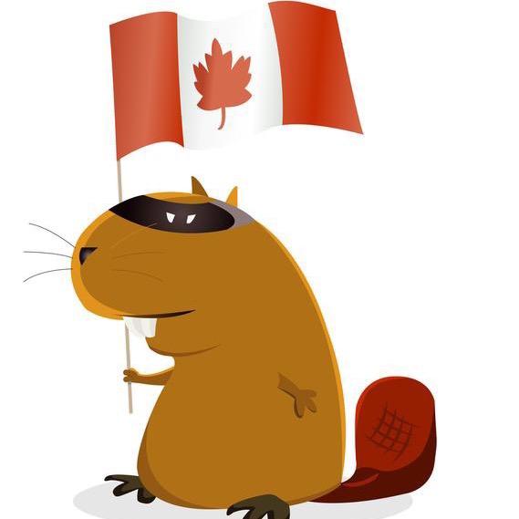 温哥华大哥哥@抖音