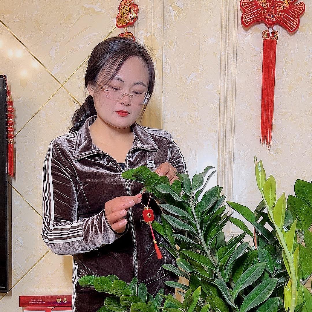 晋香裕滑姐卤肉