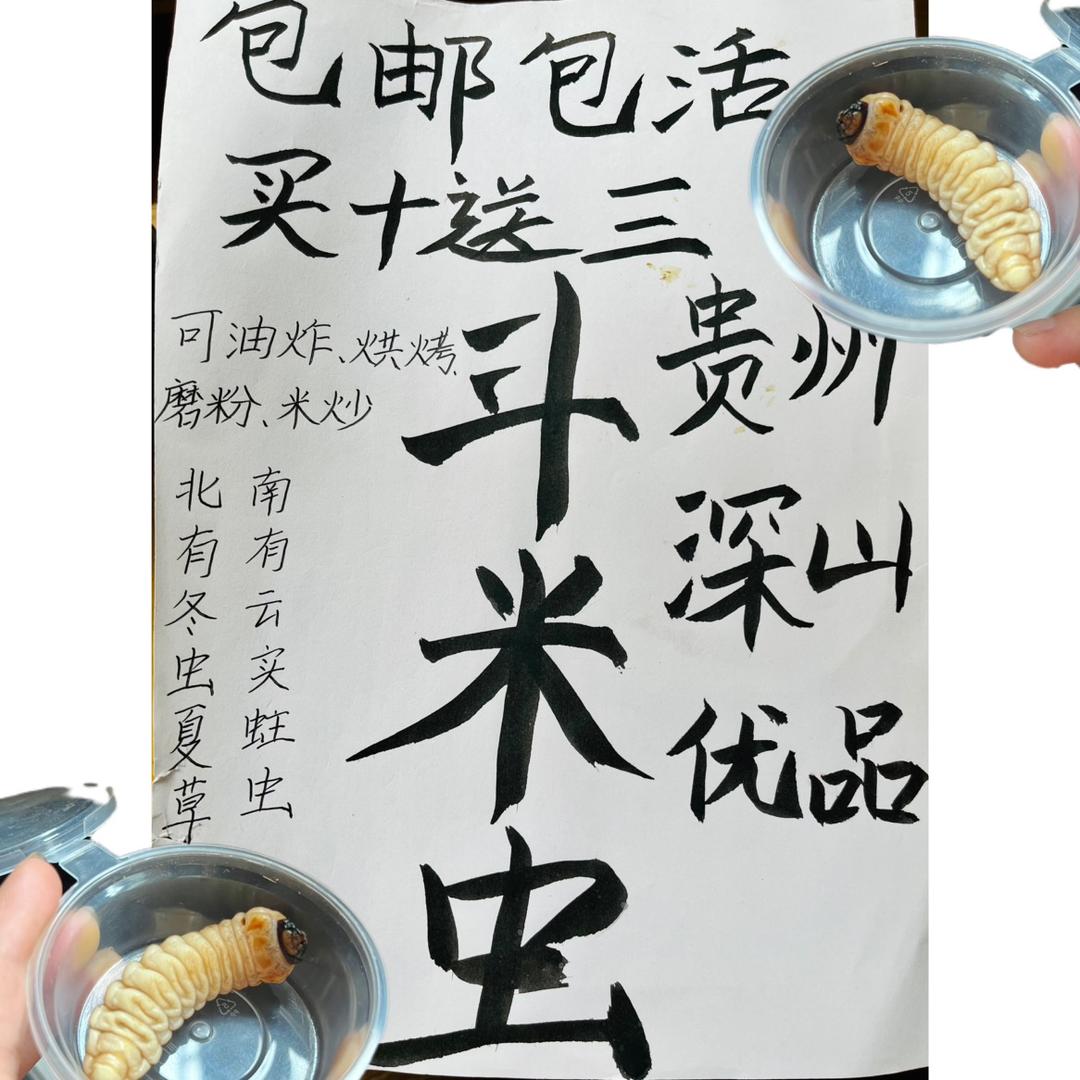 大兵鸟虫柴虫斗米虫精选