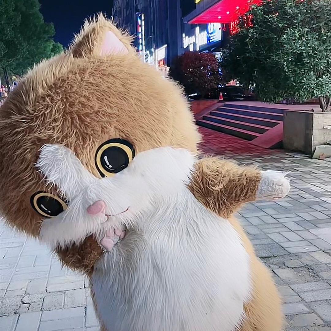 秋天的风
