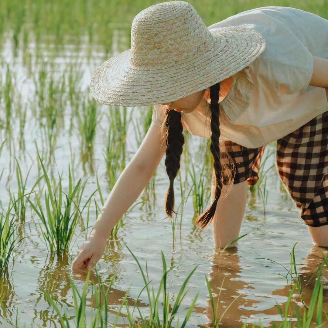 雨后彩虹1