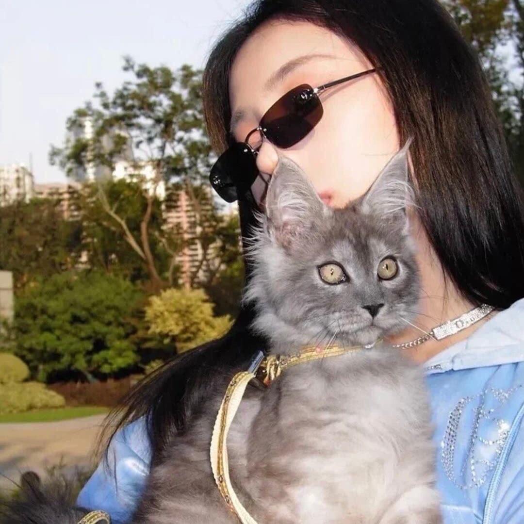 在杜村的鑫